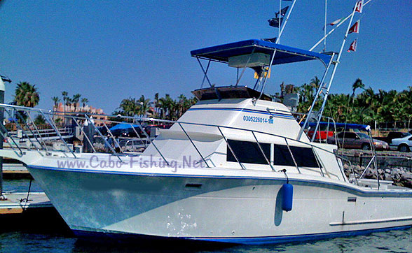 Deep Sea Fishing Cabo San Lucas