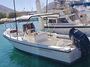 26' Fly Fishing Panga Boat Cabo San Lucas