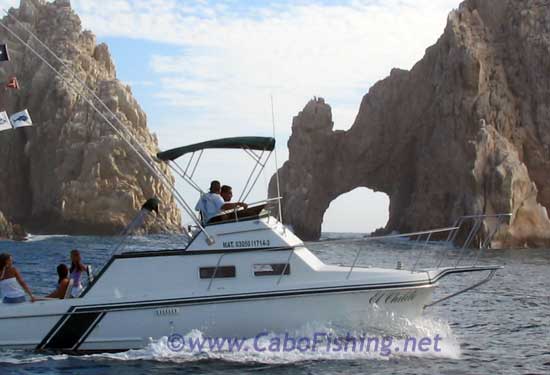 Cabo Fishing Charter
