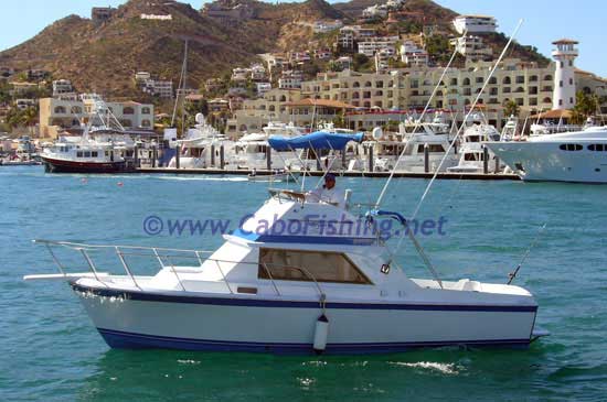 Cabo Fishing Charter