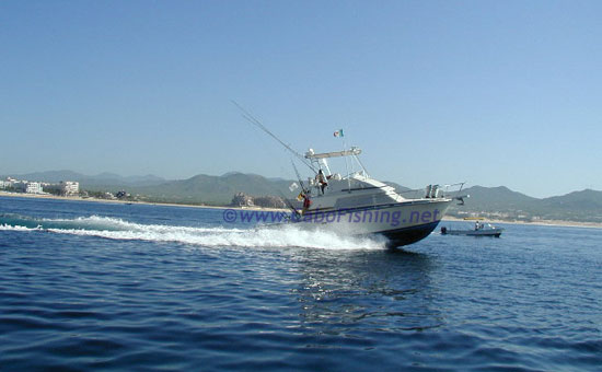 Cabo Fishing Charter