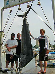 800 Lb. Marlin by Cabo Fishing