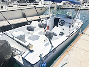 26' Super Panga Cabo San Lucas