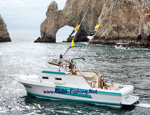 Los Cabos Fishing