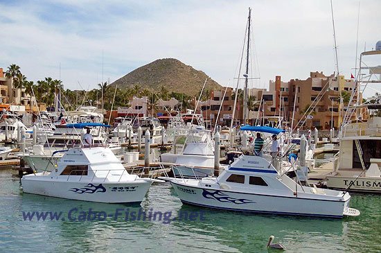 Cabo Fishing Charter