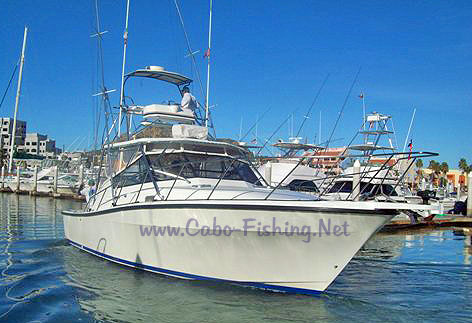 38' Rampage Cabo Fishing