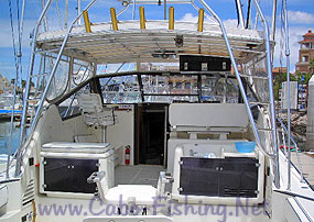 Deep Sea Fishing Trips Cabo