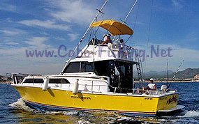 Marlin Fishing in Cabo San Lucas