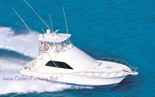 50' Cabo Express - Deep Sea Fishing