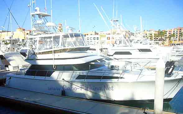 55' Mikelson Cabo San Lucas Fishing