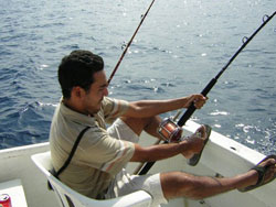 Cabo San Lucas Deep Sea Fishing