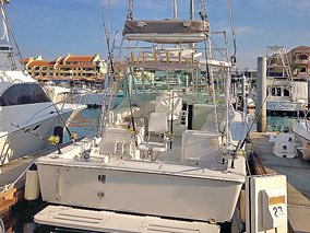 Fishing Tour Cabo San Lucas