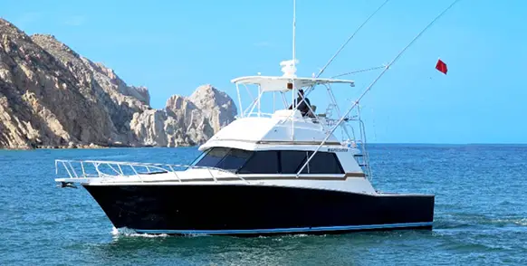 44 Bertram Charter