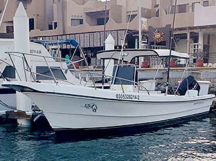 26' Fly Fishing Panga Boat Cabo San Lucas