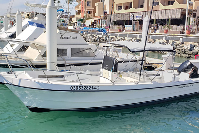 Cabo San Lucas Fly, Light & Spinning Tackle Fishing
