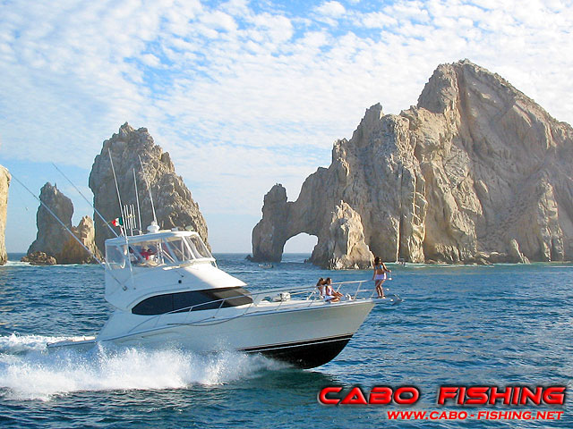 cabo fishing net Cabo Fishing - Cabo San Lucas Fishing