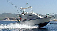 Cabo San Lucas Fishing