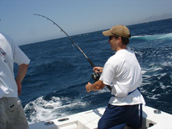 Fly Fishing in Cabo