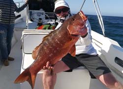 Cabo Fly Fishing